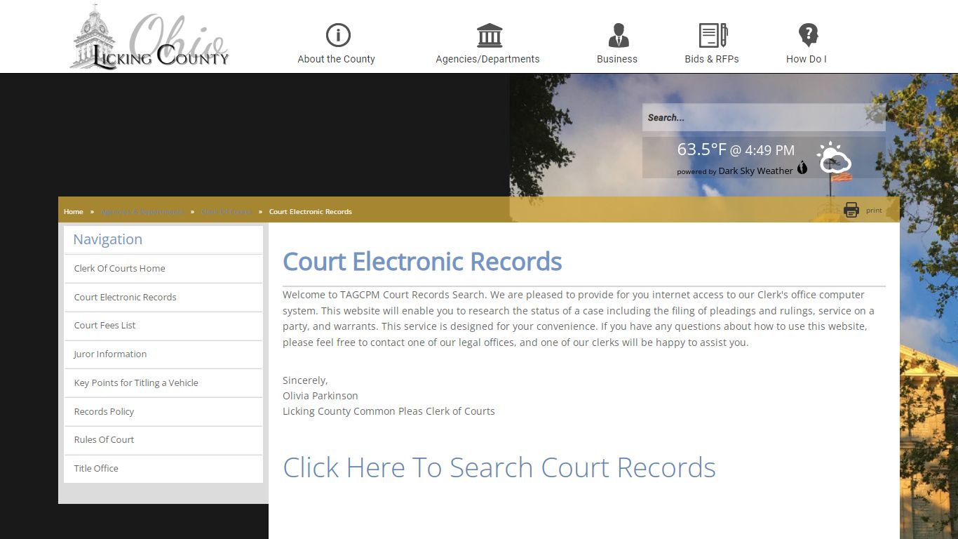 Licking County - Court Electronic Records